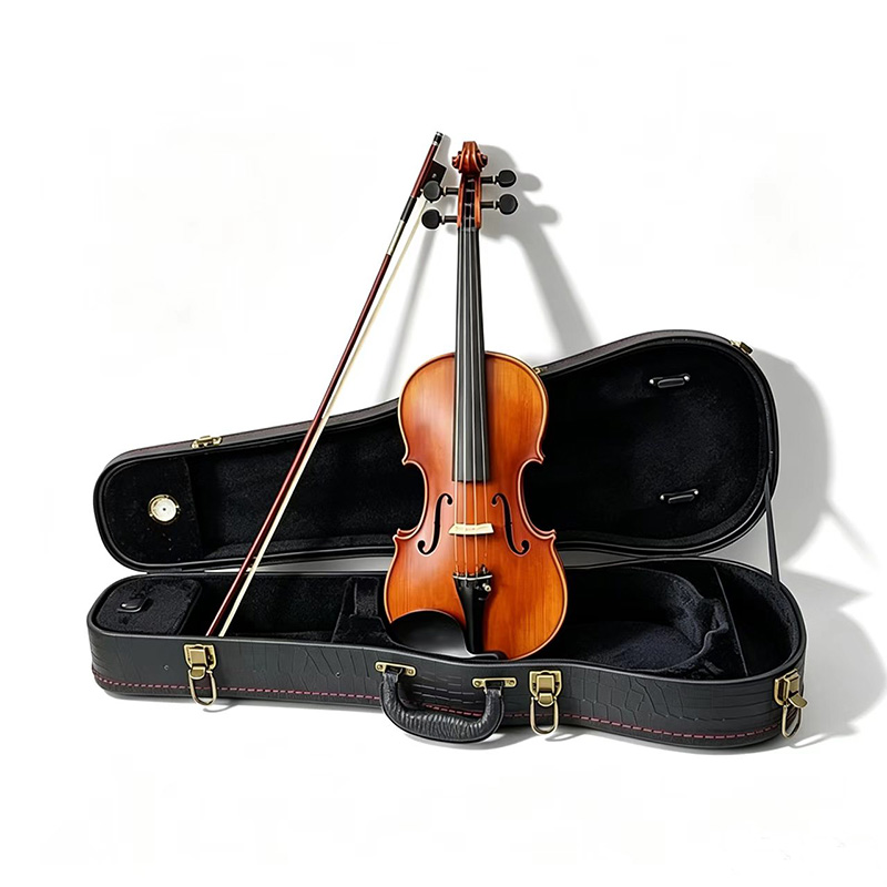 Étui de violon 4/4 en bois dur - Woodworking Usa avis et prix